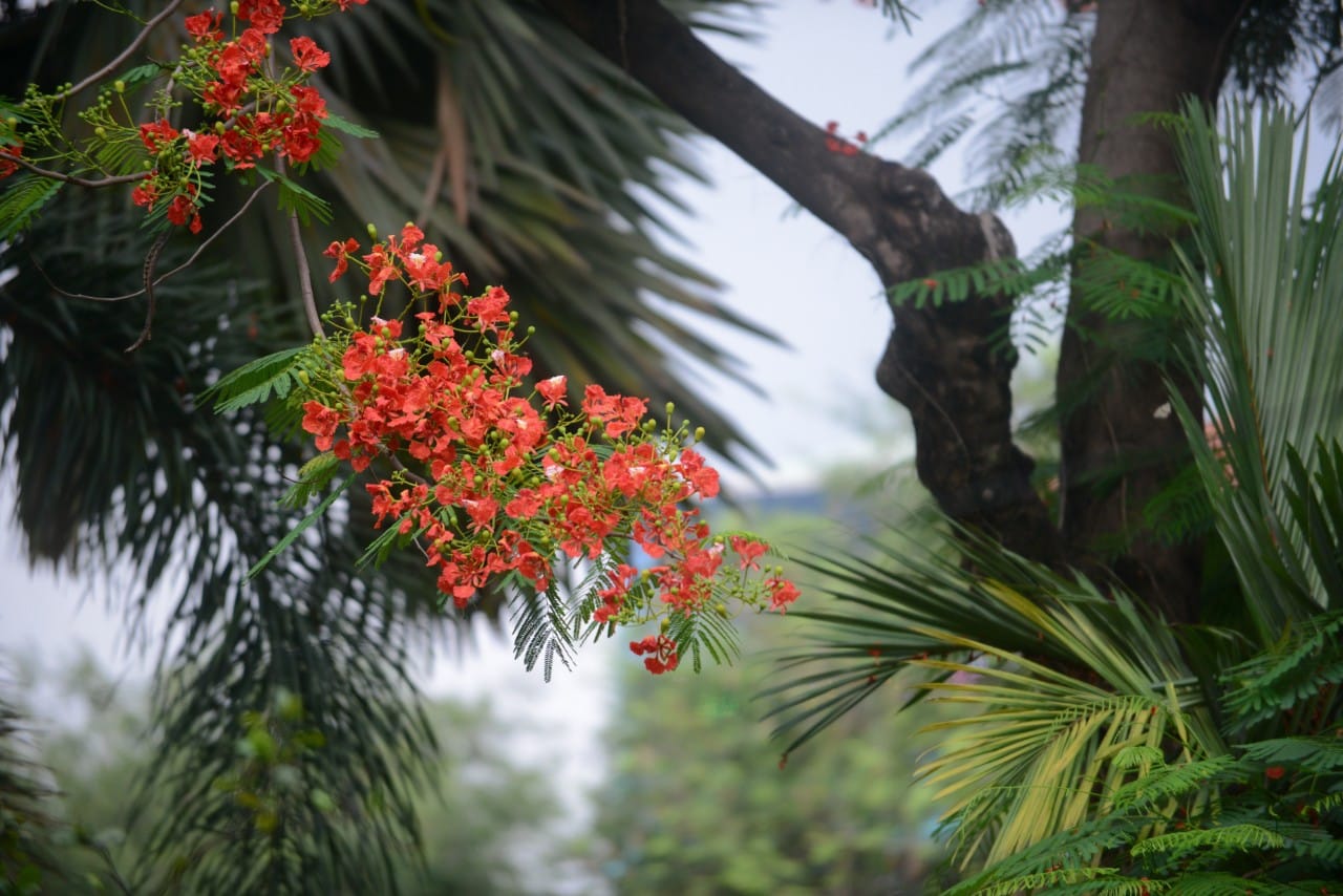 Tháng năm kỉ niệm